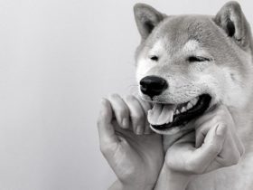 This Is How Buterin Intends To Use The Returned $100M Of Previously Donated Shiba Inu Funds