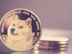 Tesla CEO Elon Musk Shares Insights On How To Integrate Dogecoin With Twitter